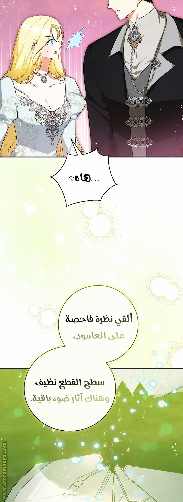 الصفحة 25