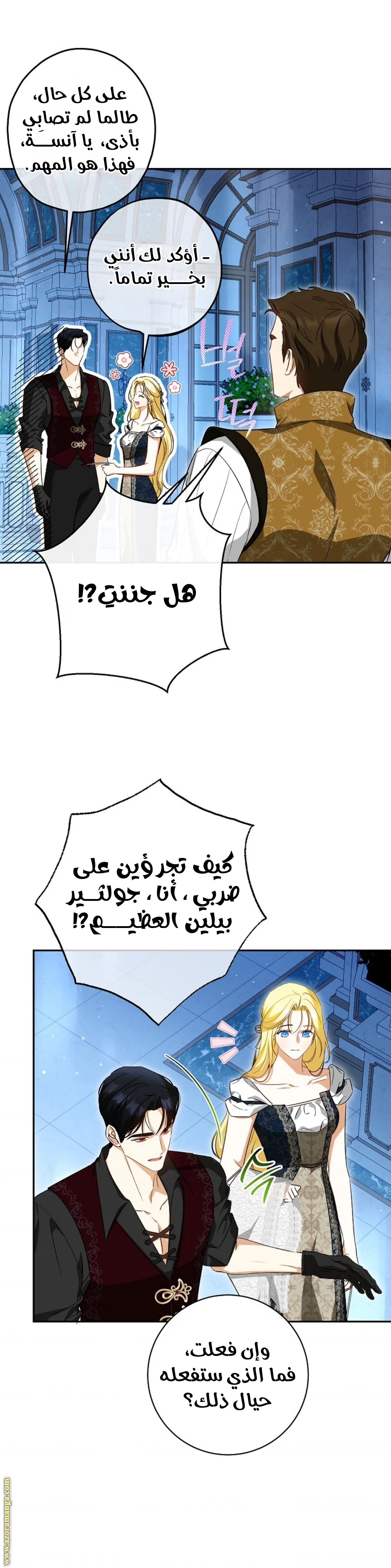 الصفحة 13