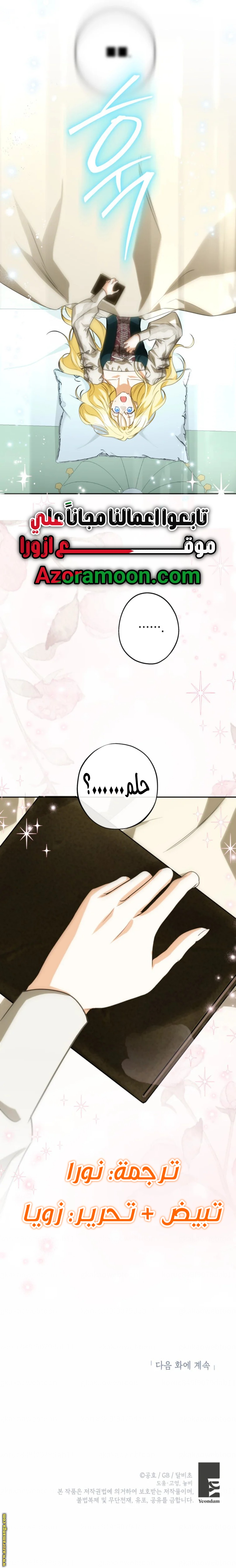 الصفحة 13