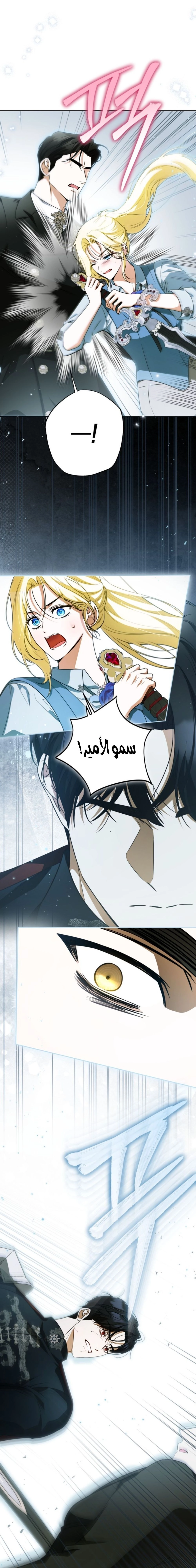 الصفحة 16