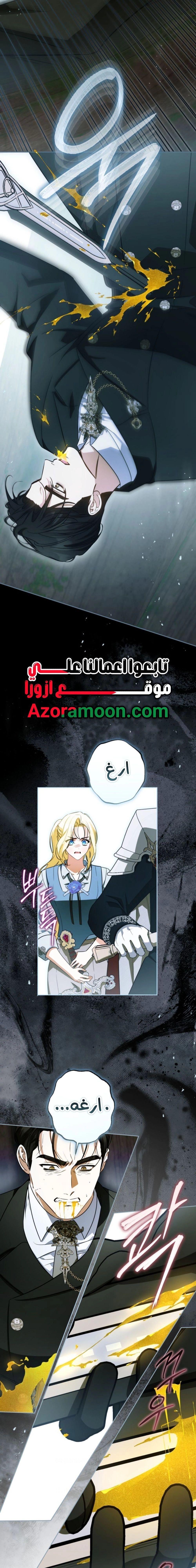 الصفحة 17