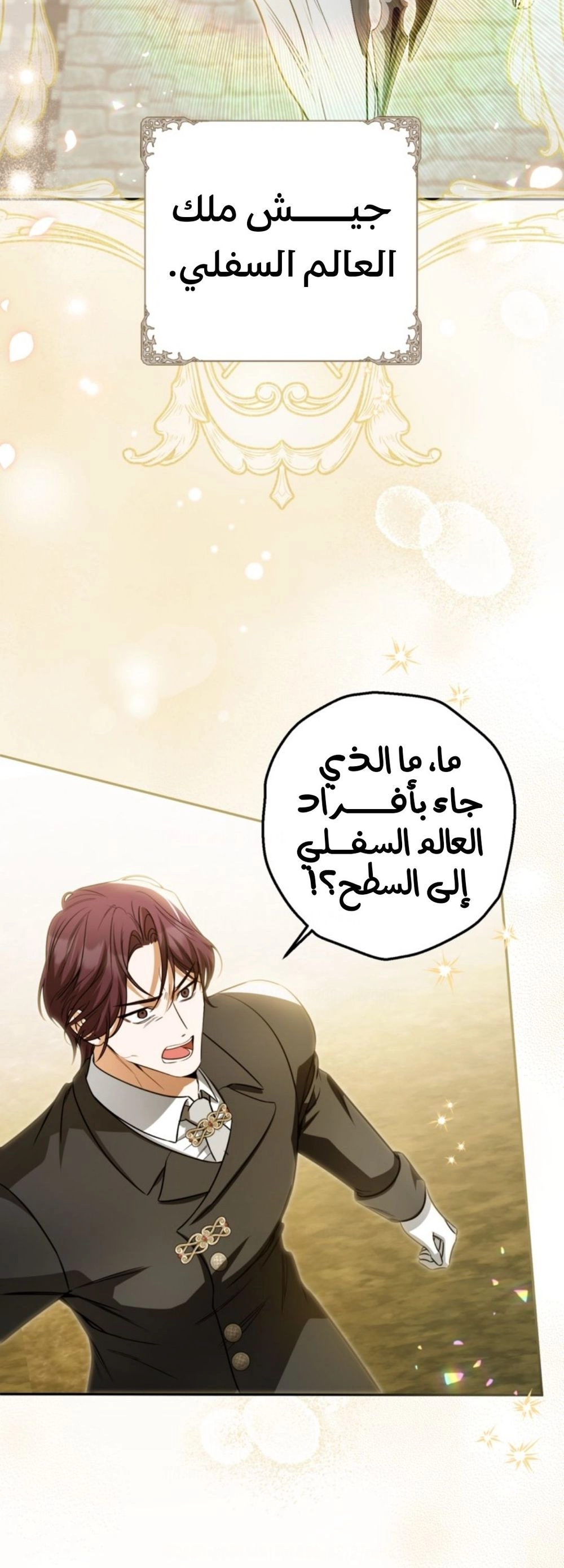 الصفحة 24