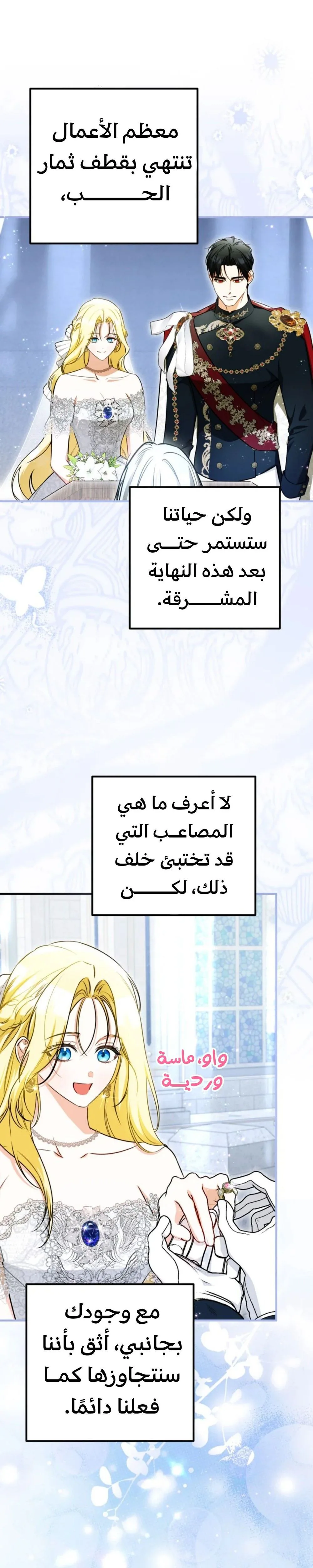 الصفحة 24