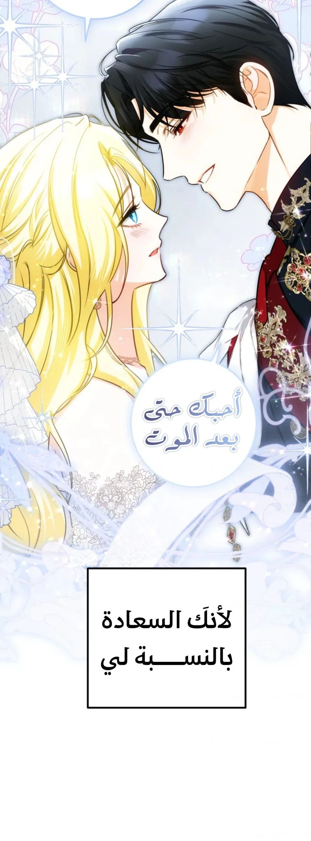 الصفحة 26
