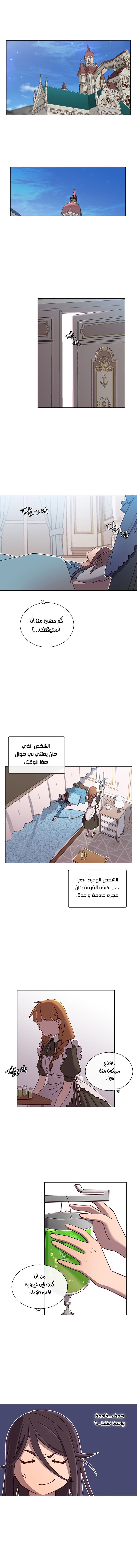 الصفحة 5