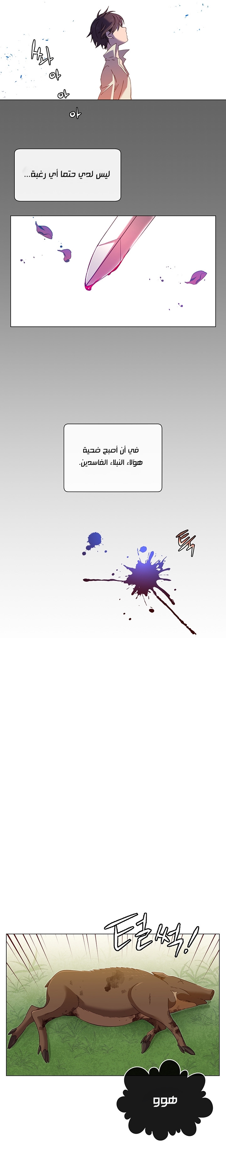 الصفحة 13