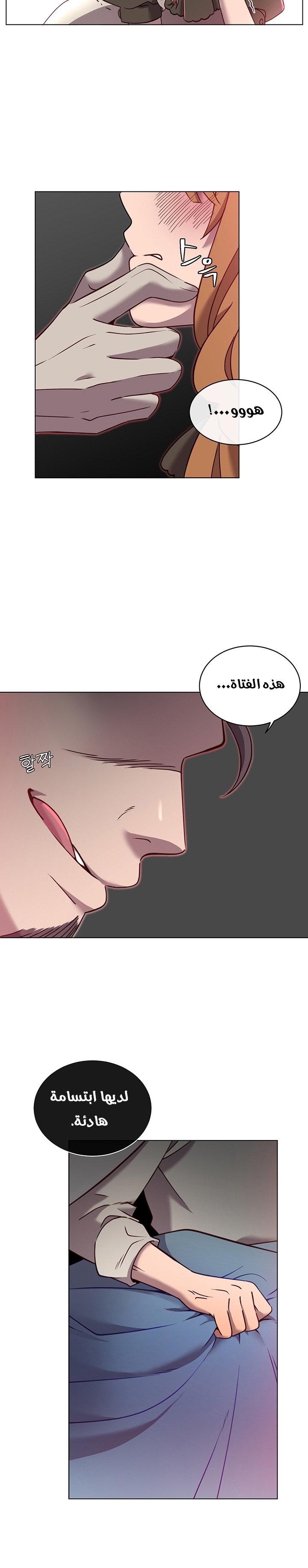 الصفحة 17
