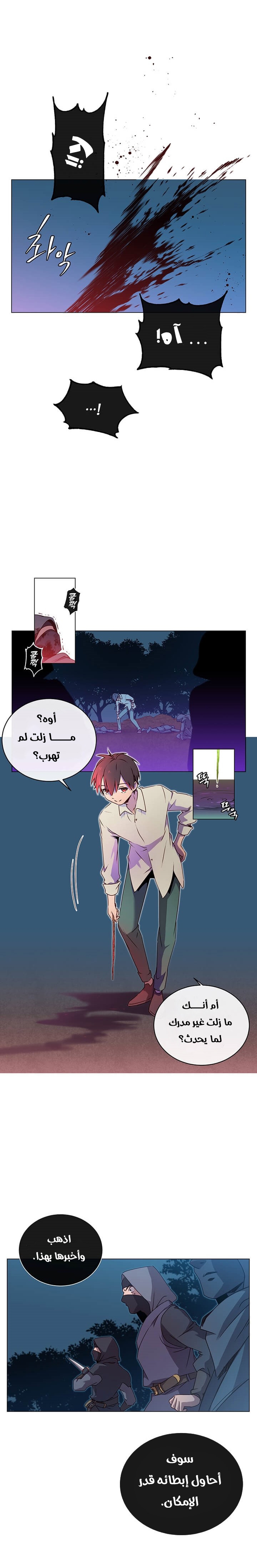 الصفحة 13