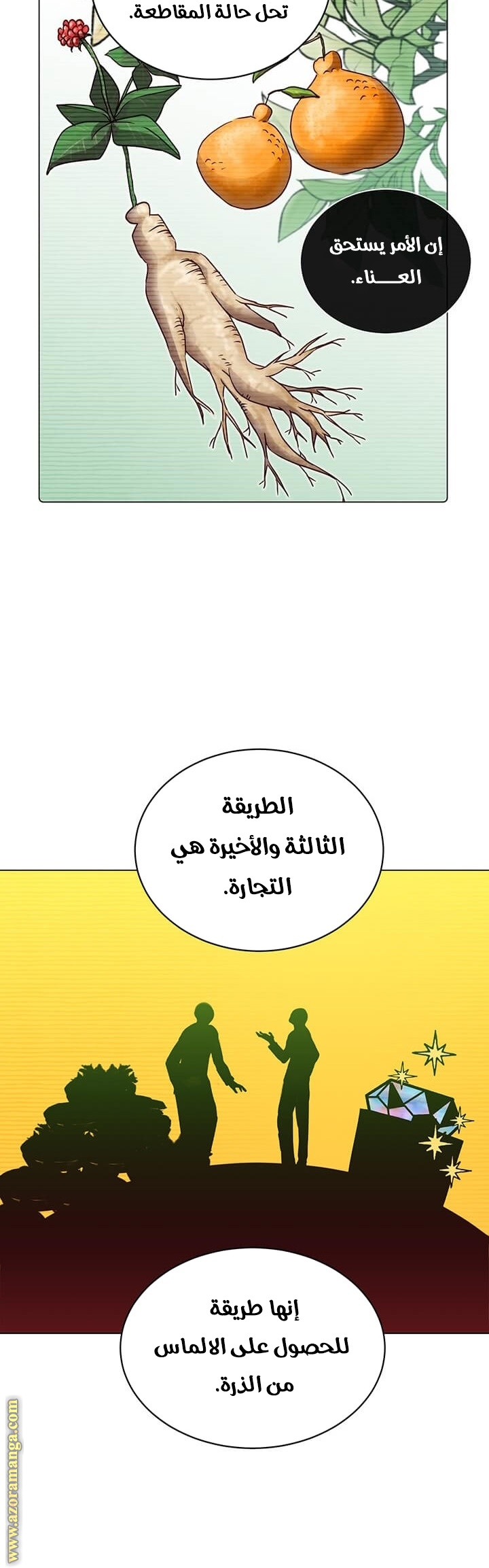 الصفحة 12