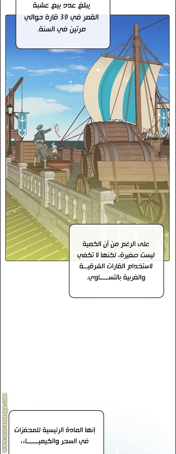 الصفحة 14