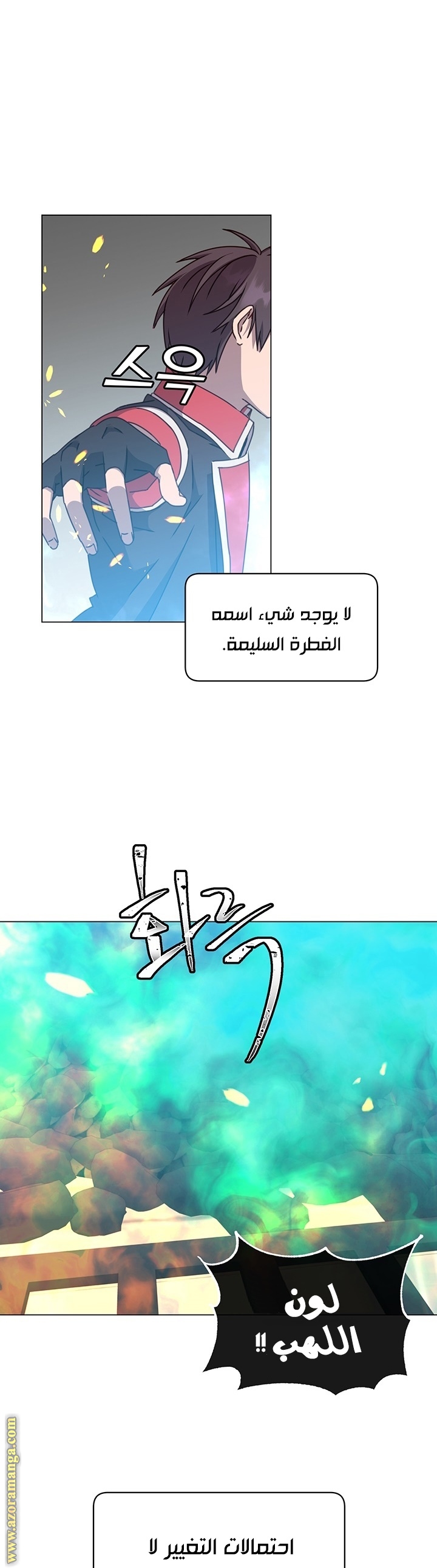 الصفحة 25