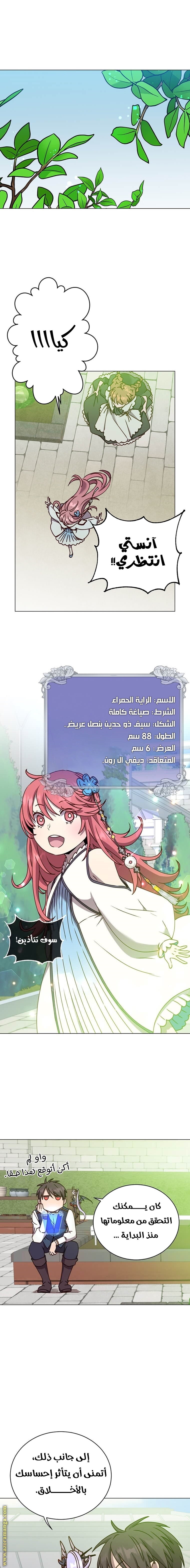 الصفحة 13