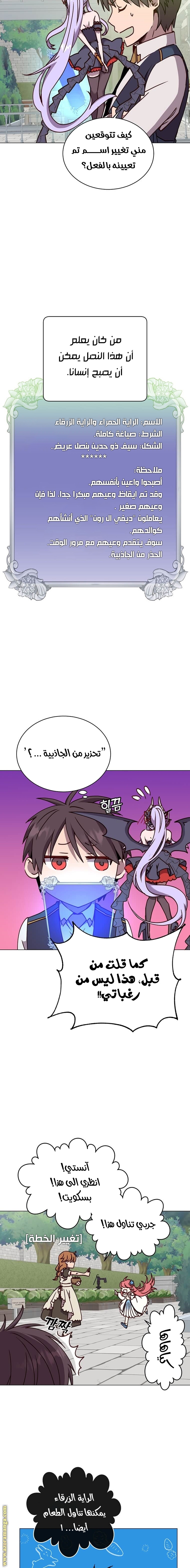 الصفحة 14