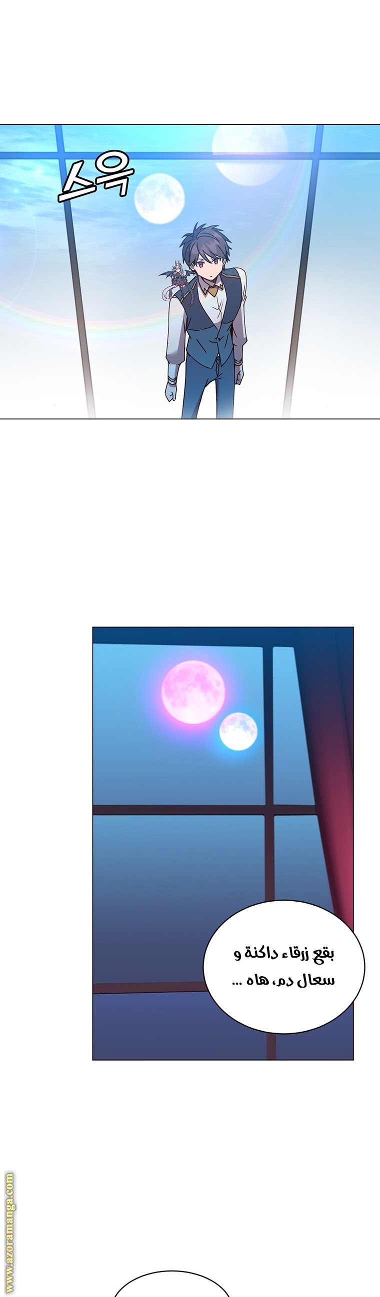 الصفحة 17