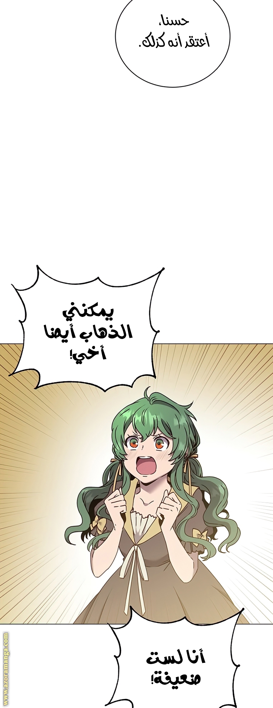 الصفحة 25