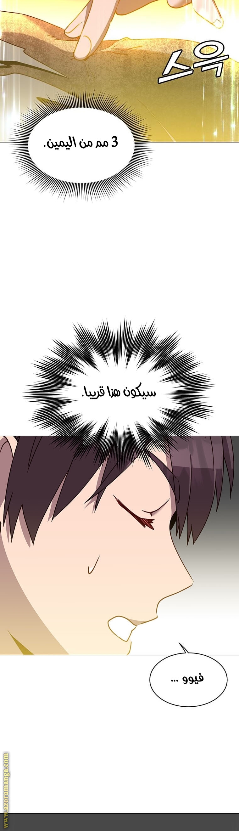 الصفحة 29