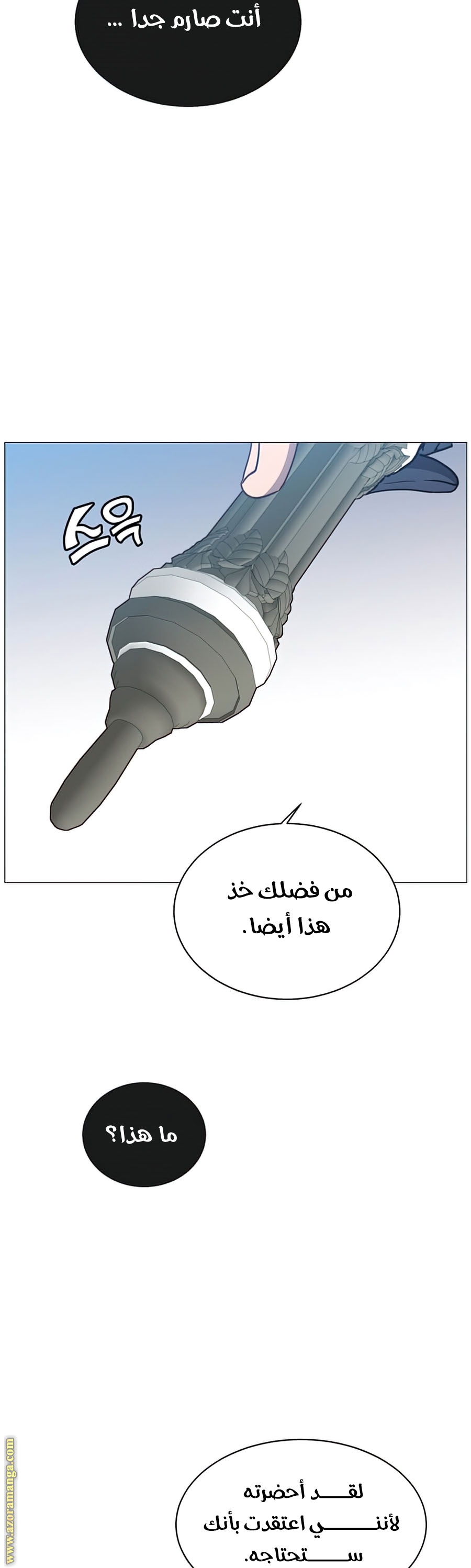 الصفحة 29