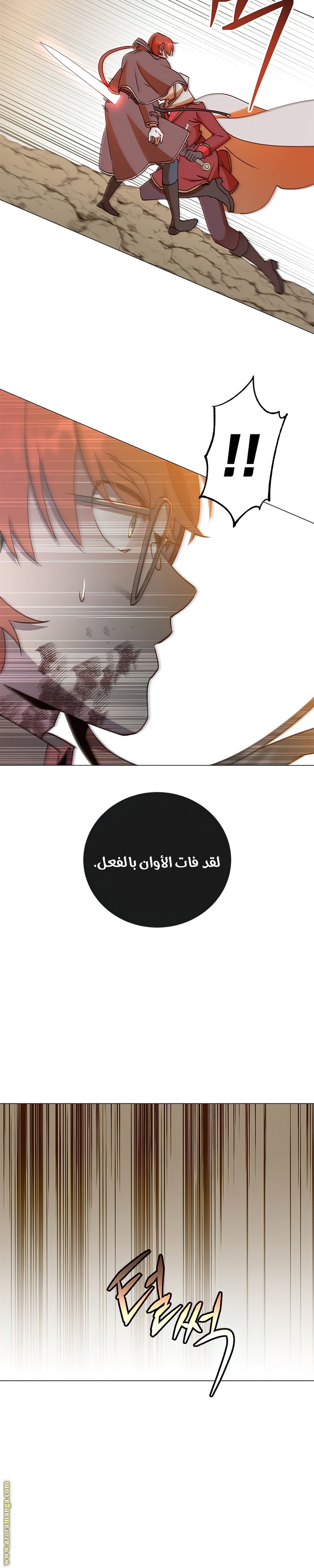 الصفحة 25