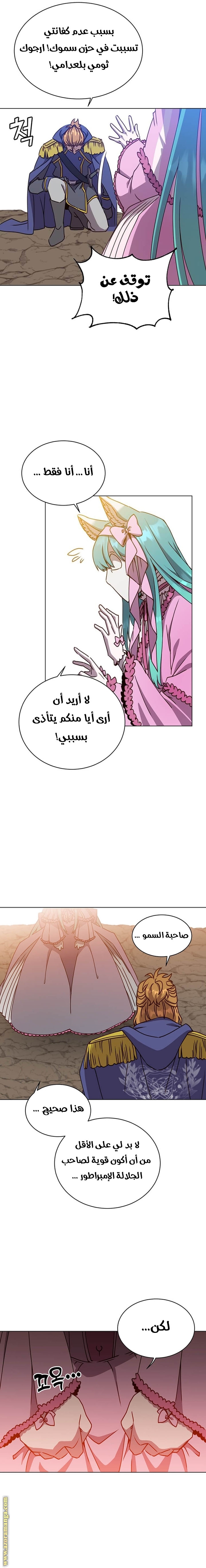 الصفحة 17