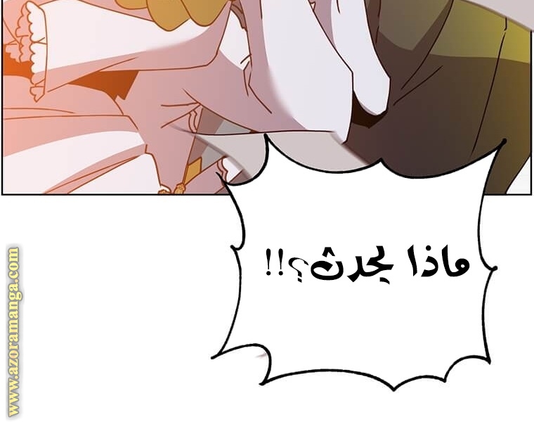 الصفحة 25