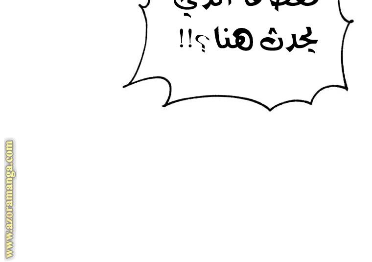 الصفحة 43