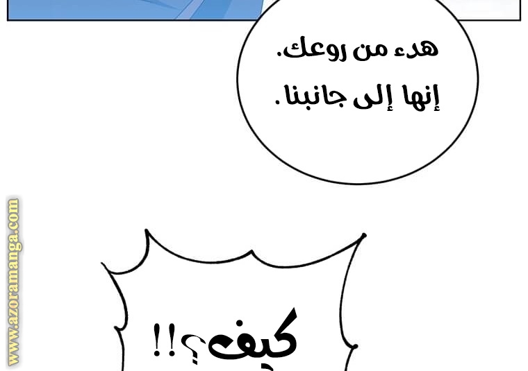 الصفحة 46