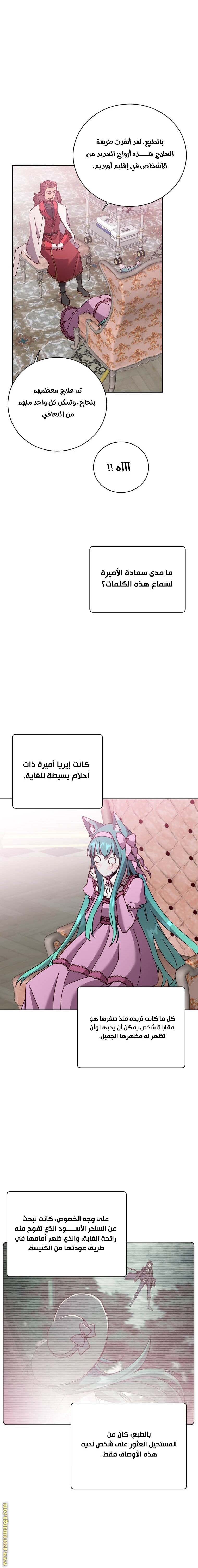 الصفحة 21