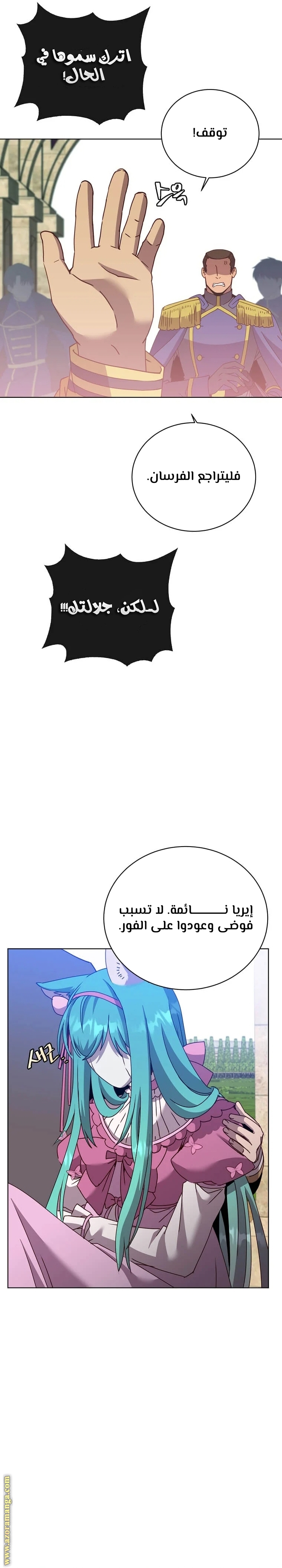 الصفحة 17