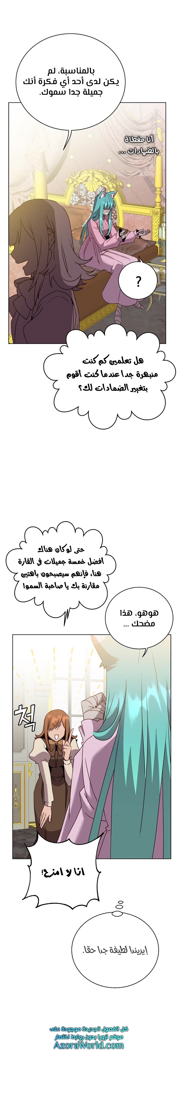 الصفحة 17