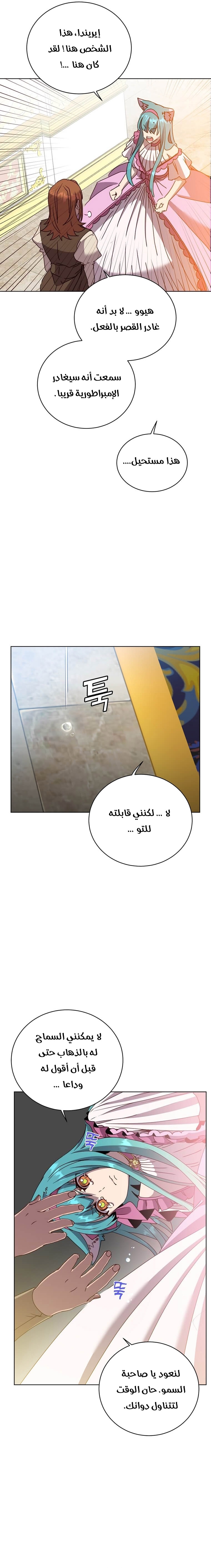 الصفحة 17