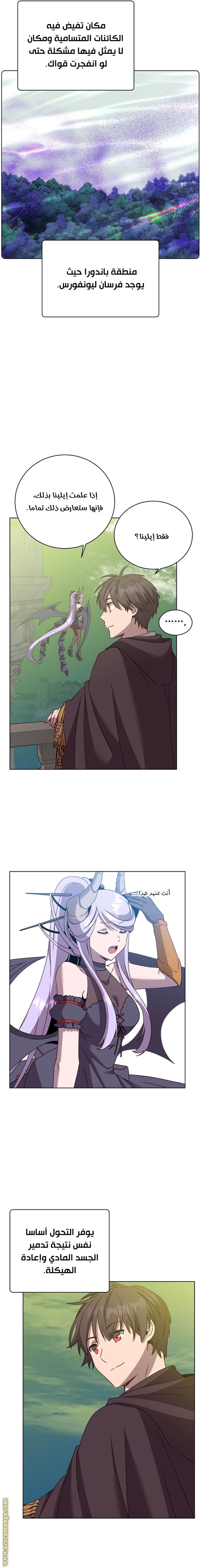 الصفحة 17