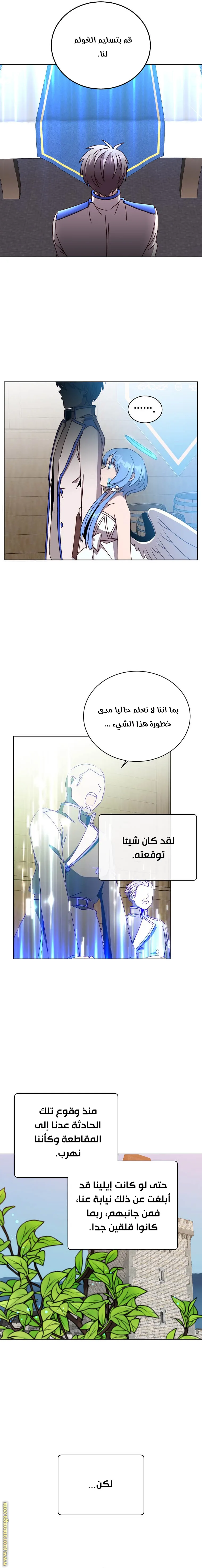 الصفحة 17
