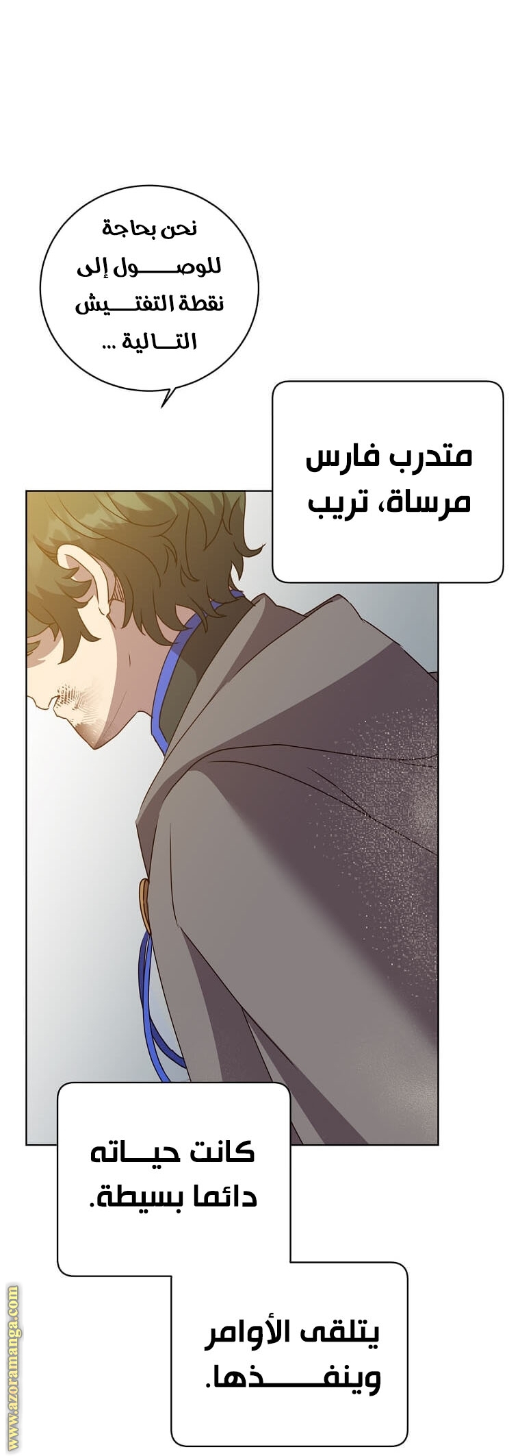 الصفحة 25