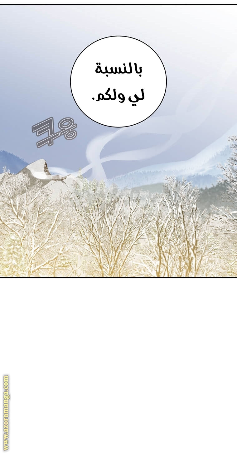 الصفحة 41
