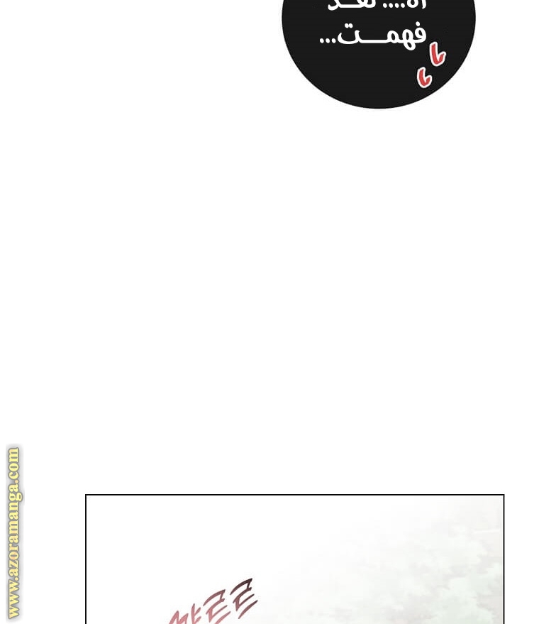 الصفحة 43