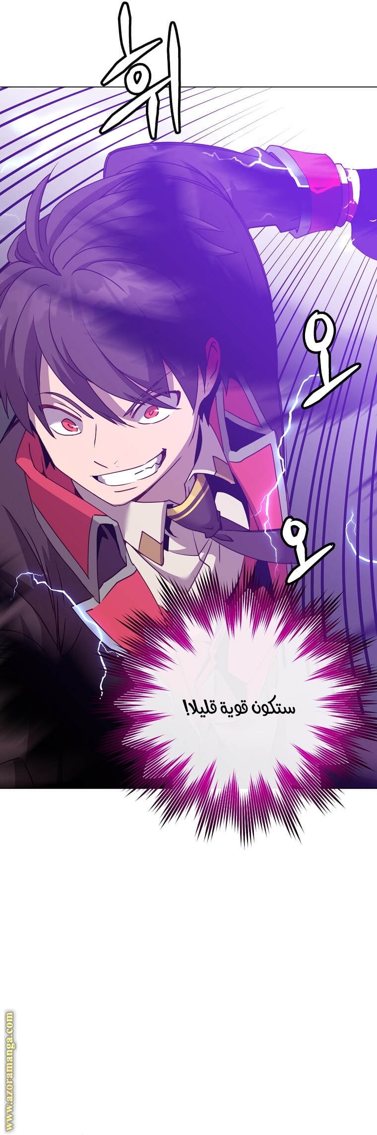 الصفحة 29