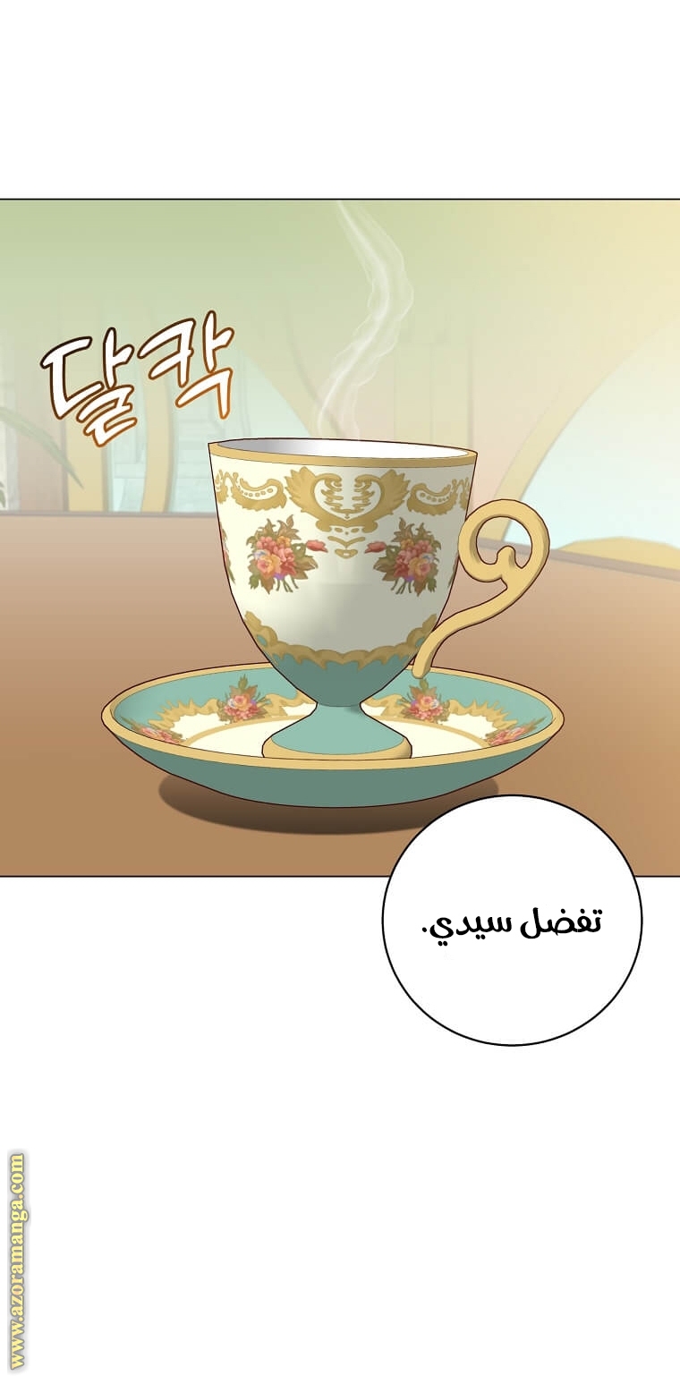 الصفحة 49