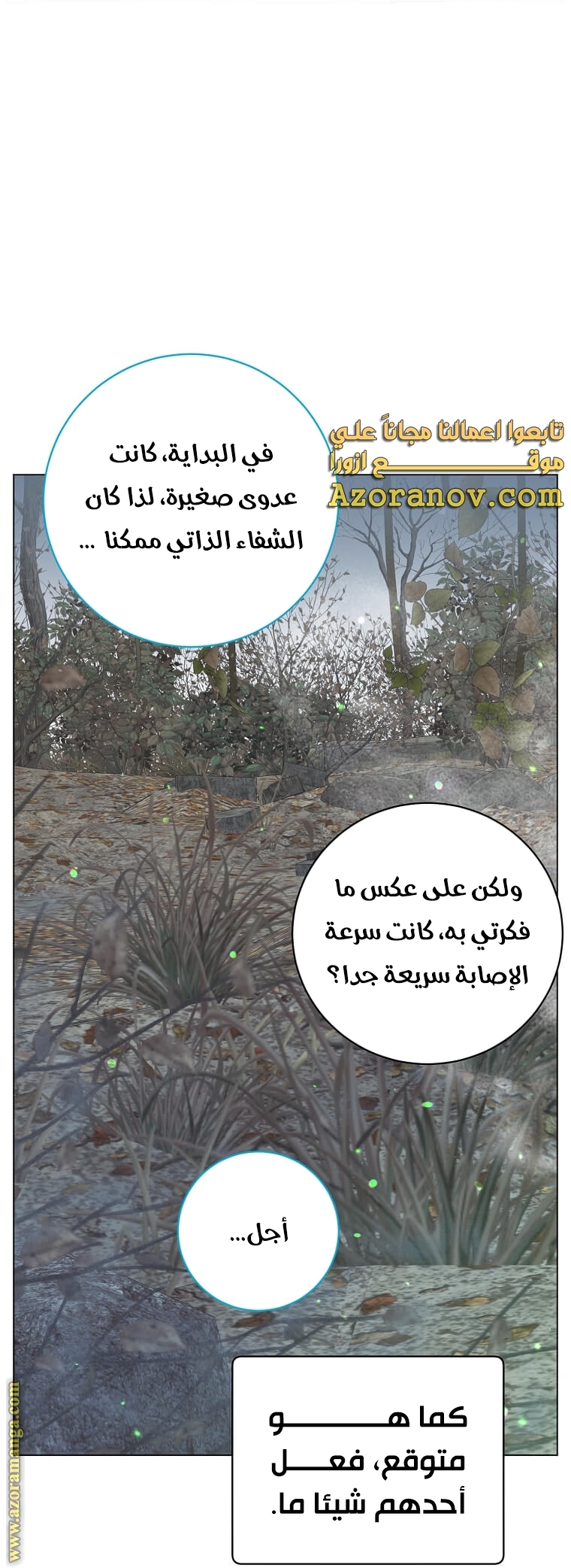 الصفحة 26