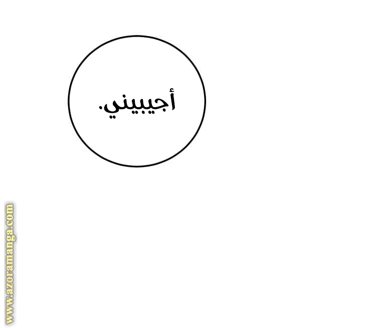 الصفحة 32