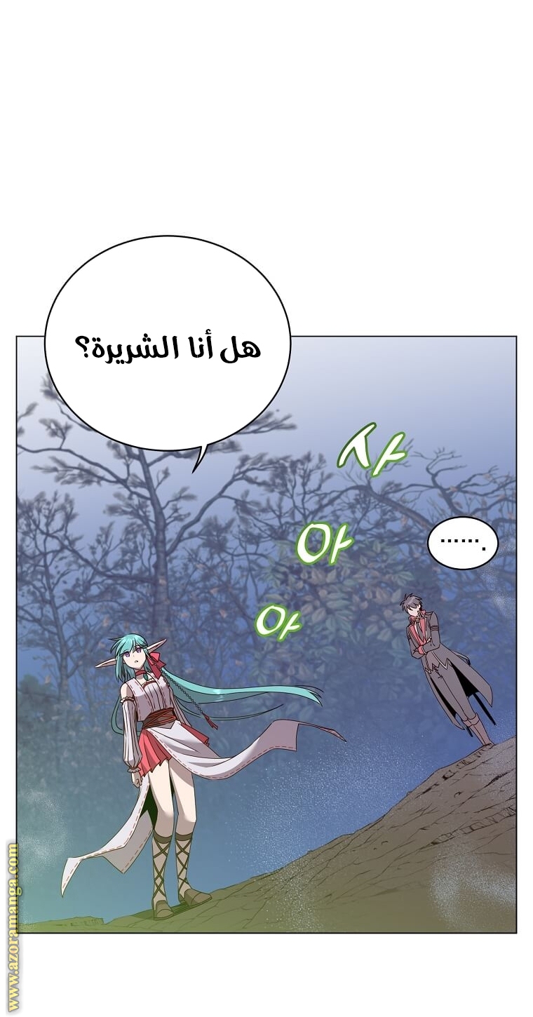 الصفحة 41
