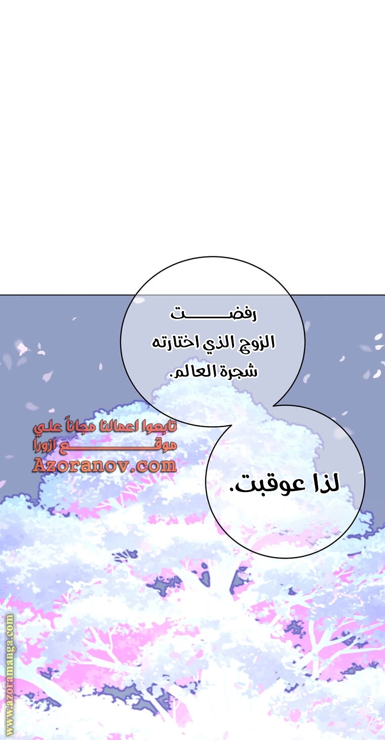 الصفحة 44