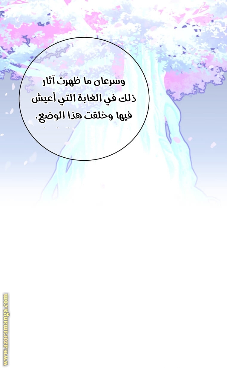 الصفحة 45