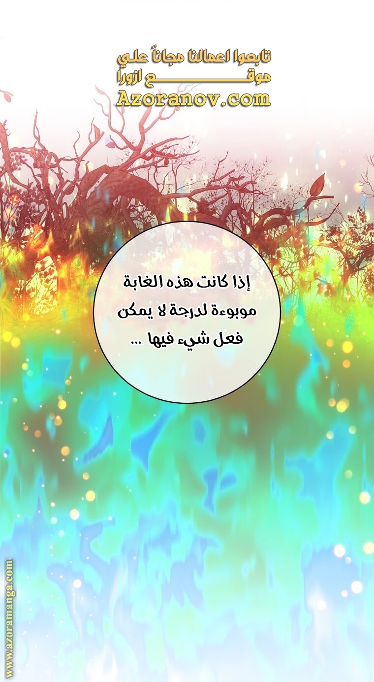 الصفحة 49