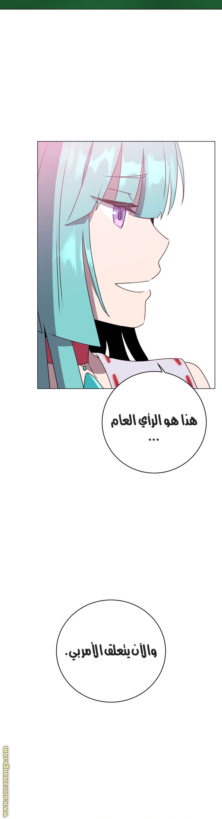 الصفحة 29