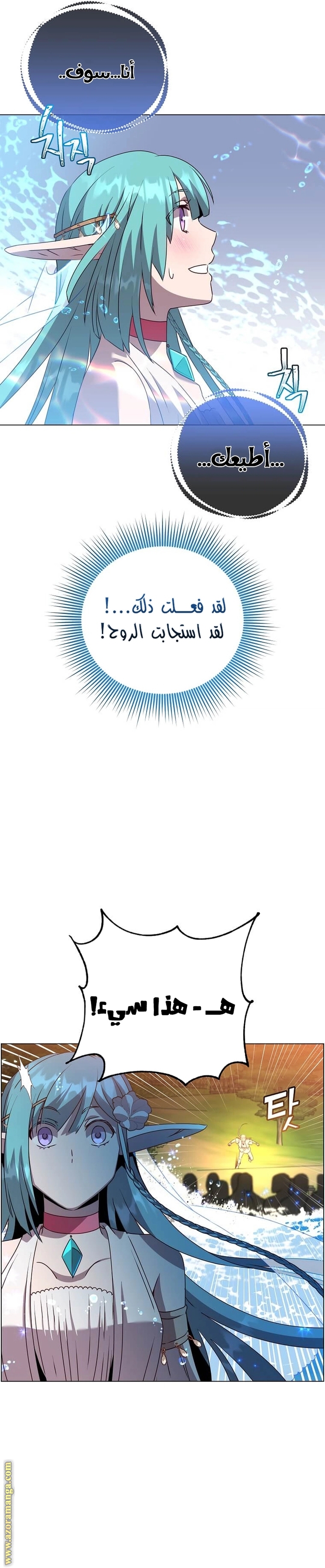 الصفحة 13