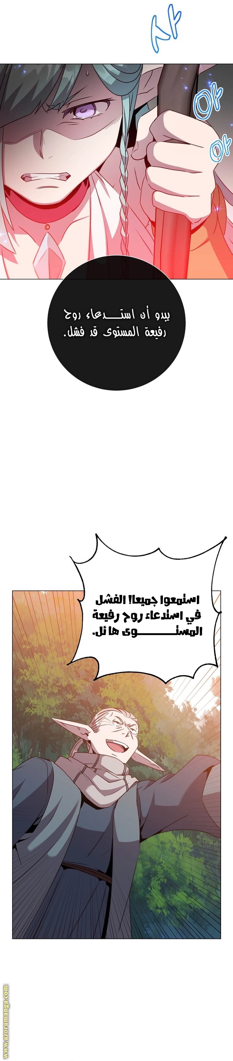 الصفحة 17