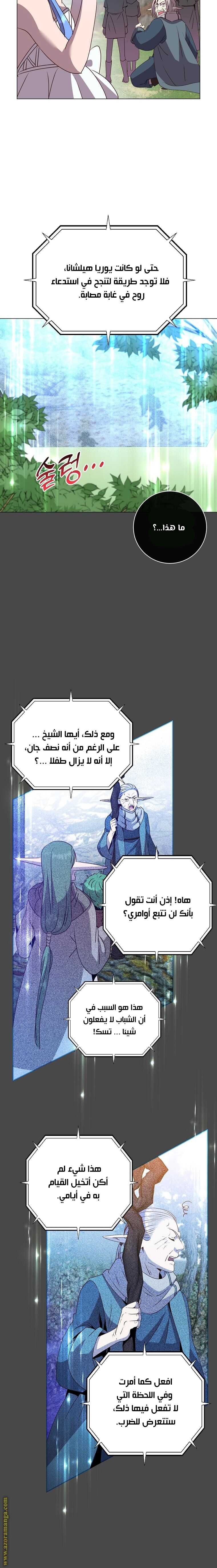 الصفحة 13