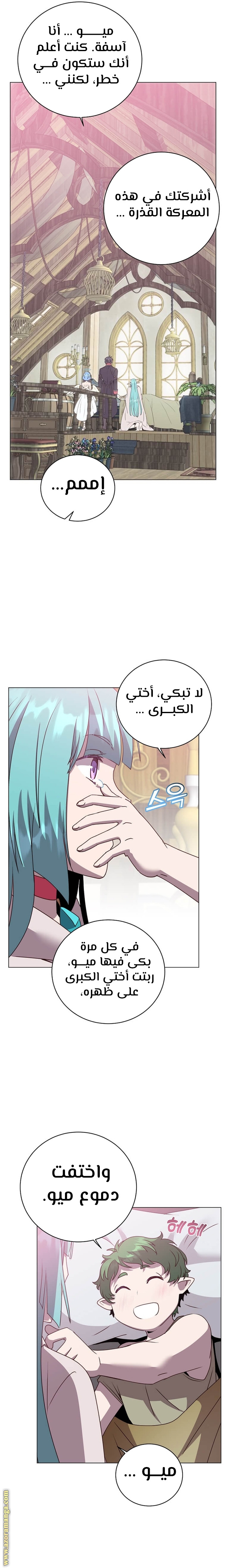 الصفحة 13