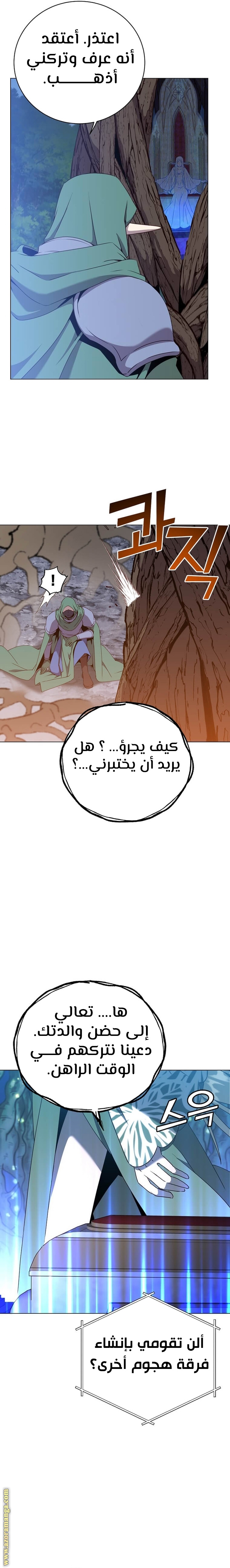 الصفحة 29