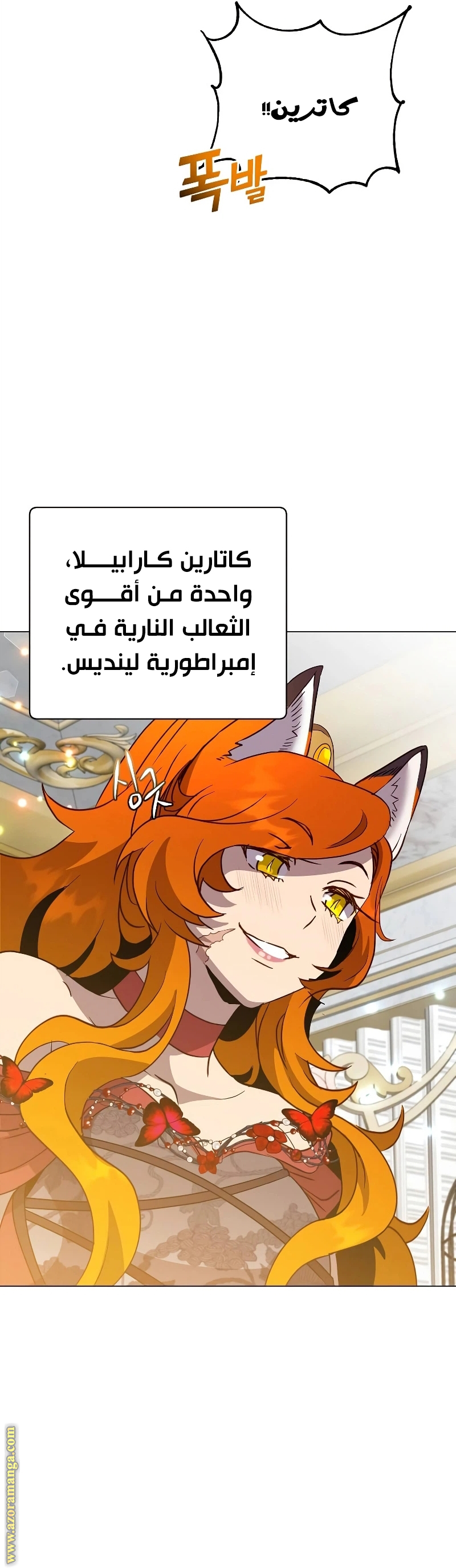 الصفحة 14